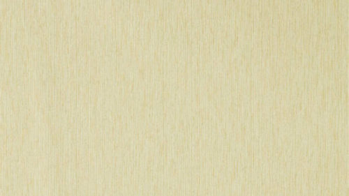 Caspian Strie 216773